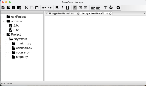 BrainDump Notepad Screenshot 1